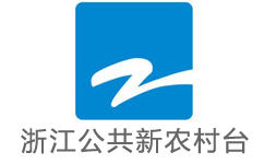 浙江公共新闻频道直播